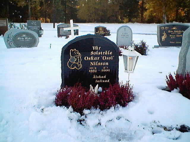 Vintervy &ouml;ver Oskars grav.